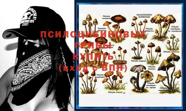 mdma Пересвет