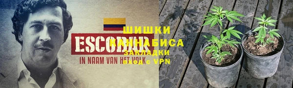 герыч Пестово